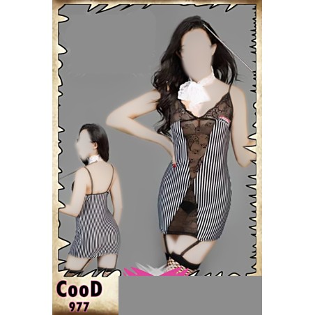 copy of هوت لانجرى تنكرى 1046