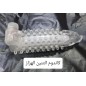 كاندوم التنين الهزاز